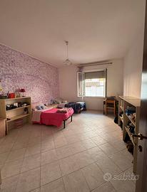 Ampia doppia is mirrionis 300