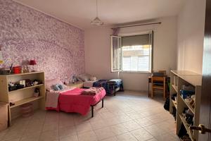 Ampia doppia is mirrionis 300