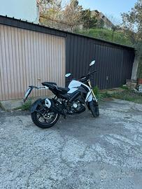 RKF 125 2023