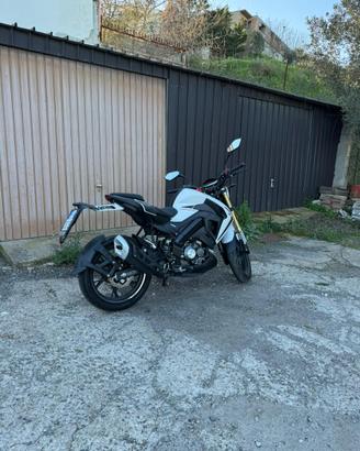 RKF 125 2023
