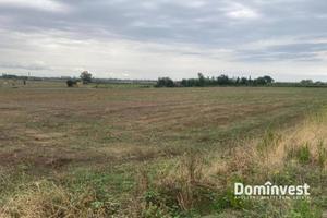 Terreno di 46000 m² a Capalbio