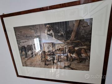 litografia inglese bulldog cm.106x81