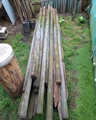 pali da 2/3 e 4 metri + canne da bacchette vigneto