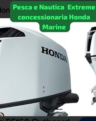 Nuovo Sea 22 GT & Honda 150 elettronico