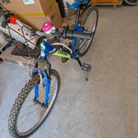 NUOVISSIMA BICICLETTA CASADEI