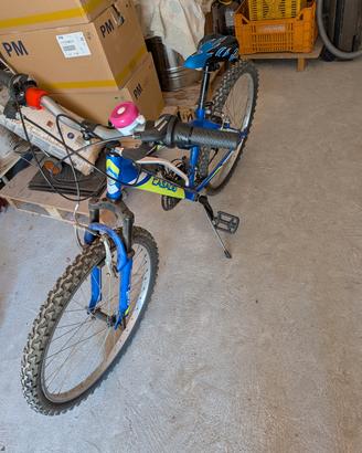 NUOVISSIMA BICICLETTA CASADEI