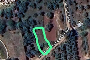 Terreno agricolo uliveto