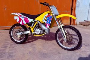 Suzuki Rm250