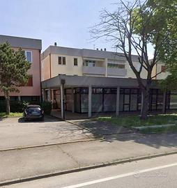 Appartamento a Bagnoli di Sopra, 4 locali