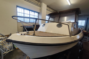 Pilotina in vetroresina + Motore Johnson 120 CV -