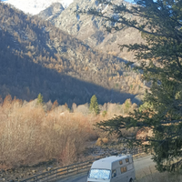 Camper Puro