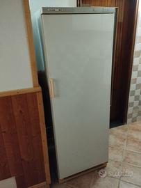 Congelatore verticale Polaris