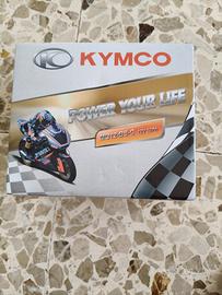 batteria moto/scooter dynavolt nano-gel mg12-bs-c 