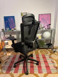 Sedie ergonomiche per il mal di schiena