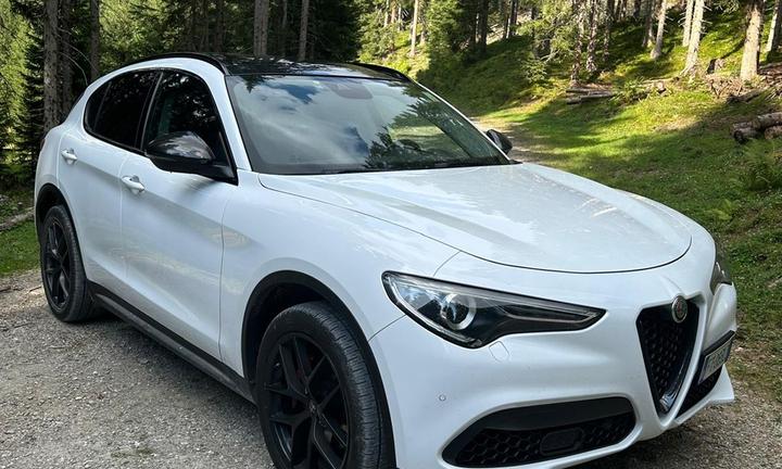 Alfa Romeo Stelvio 2.0 turbo benzina 280cv AT8