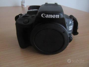 Canon 100D + Canon 24-105 1:4 IS USM