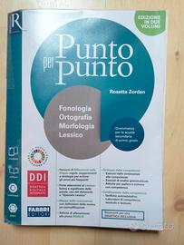 PUNTO per PUNTO (Di Rosetta Zordan)
