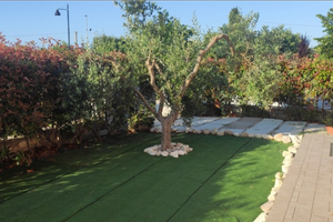 Estate 2026 a Roseto degli Abruzzi