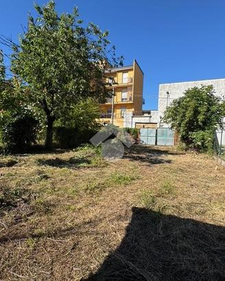 TER. AGRICOLO A VENAFRO