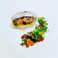 Cuoco/ chef di cucina