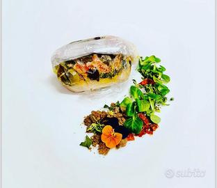 Cuoco/ chef di cucina