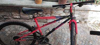 Bicicletta Mountain Bike Vintage Bianchi Thomisus