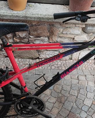 Bicicletta Mountain Bike Vintage Bianchi Thomisus