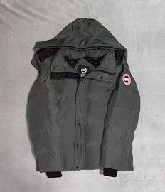 GREY CANADA GOOSE