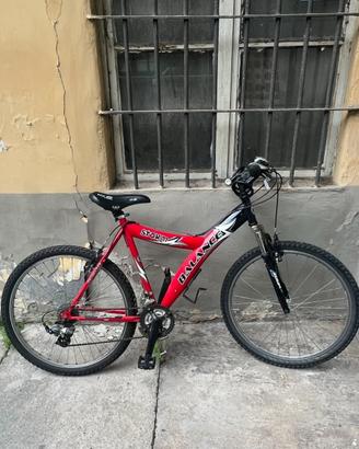 mountain bike