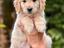 Immagine 22
