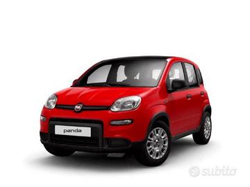 FIAT Pandina HYBRID 1.0 65cv Hybrid Pop