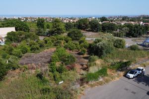 Terreno agricolo - Mascali