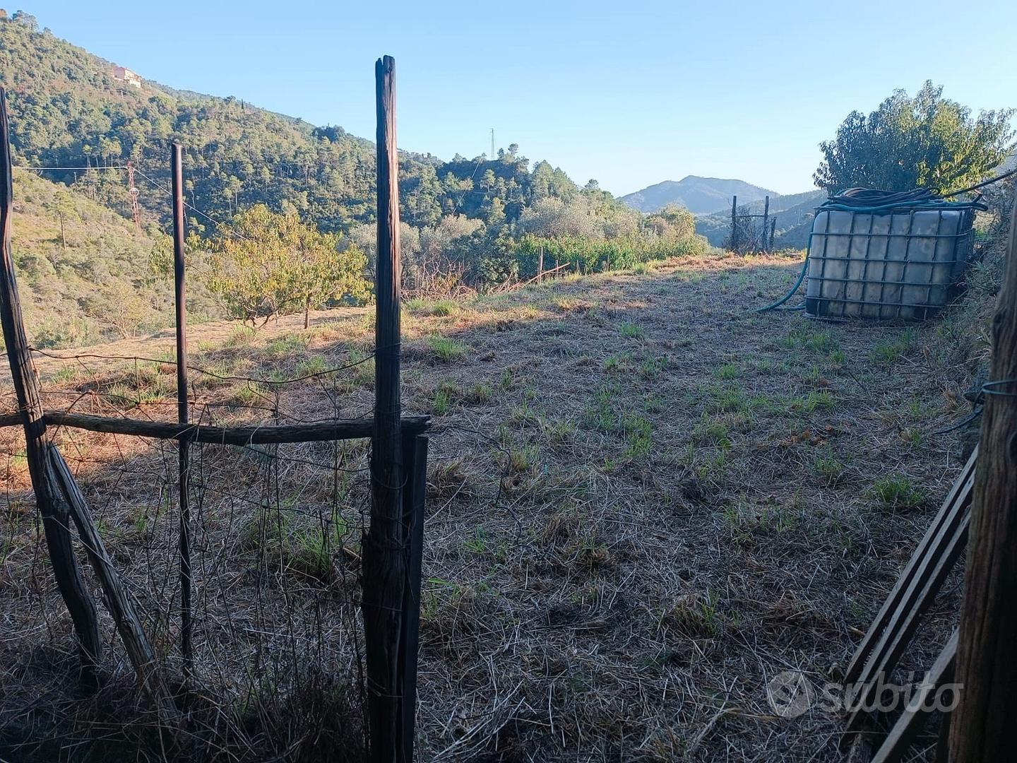 Terreno agricolo carrabile a sestri levante - 2.10 - Vista 3