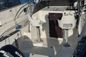 Barca petteruti 115cv suzuki