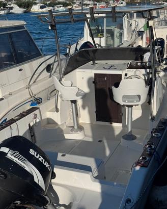 Barca petteruti 115cv suzuki