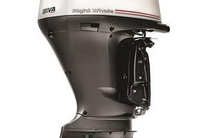 Selva 250XSR modello Right Whale (NEW 2026)  PROMO