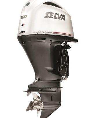 Selva 250XSR modello Right Whale (NEW 2026)  PROMO