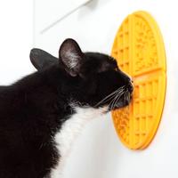 Waffle con ventose dietro per splattare la pappa