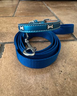 Collare e guinzaglio per cane