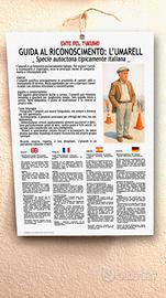cartello divertente multilingue da esporre umarell