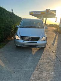 Mercedes Viano 