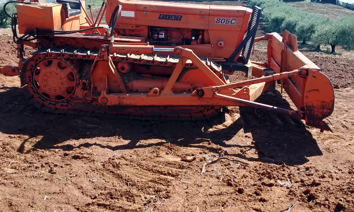 Trattore fiat 805 c