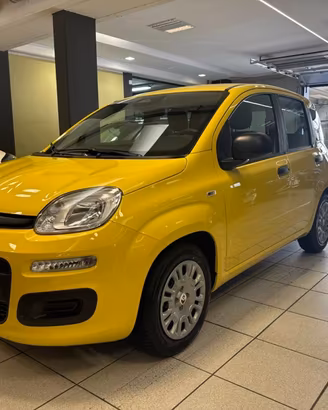 FIAT Panda 1.0 FireFly S&S Hybrid POP KM0 PROMO