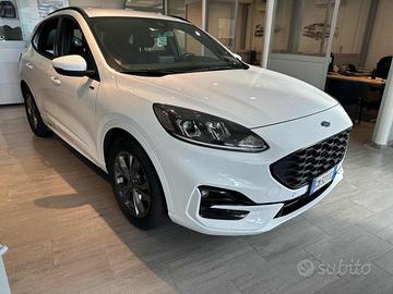 FORD Kuga 2.5 Full Hybrid 190 CV CVT 2WD ST-Line