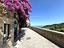 Immagine 28