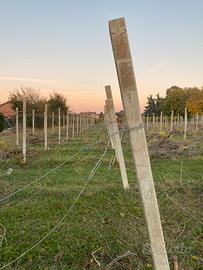 pali cemento precompresso