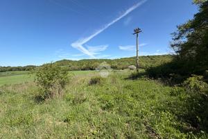 TER. AGRICOLO A ACQUASPARTA
