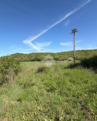 TER. AGRICOLO A ACQUASPARTA