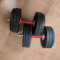Pesi da palestra