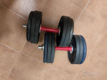 Pesi da palestra